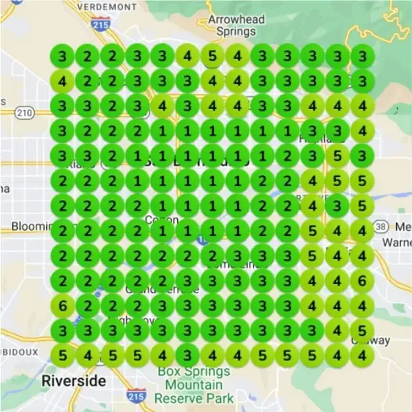 Local Rankings Geogrid Report