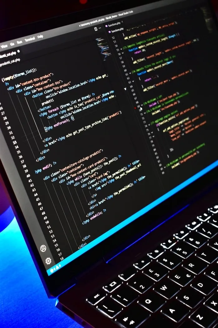 Web development